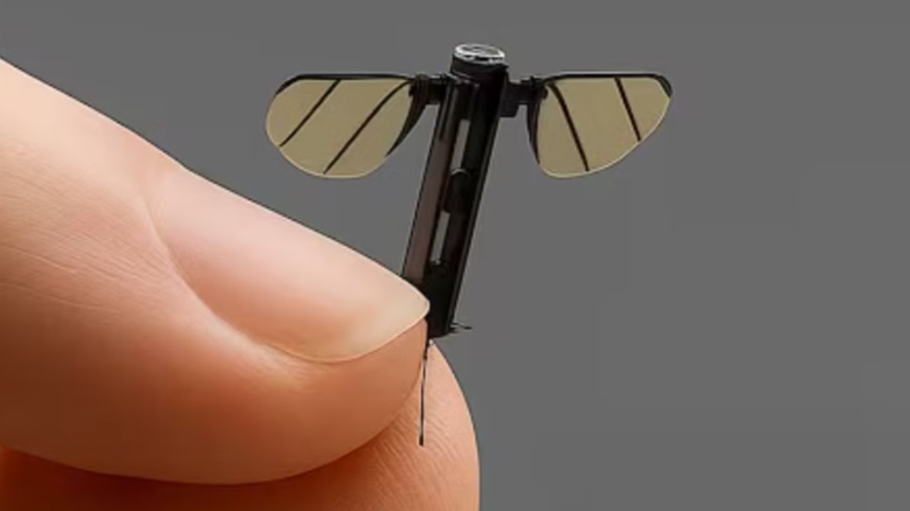 สุดล้ำ กองทัพจีนเปิดตัว "โดรนยุง" ตัวจิ๋ว เพื่อภารกิจลับทางทหาร