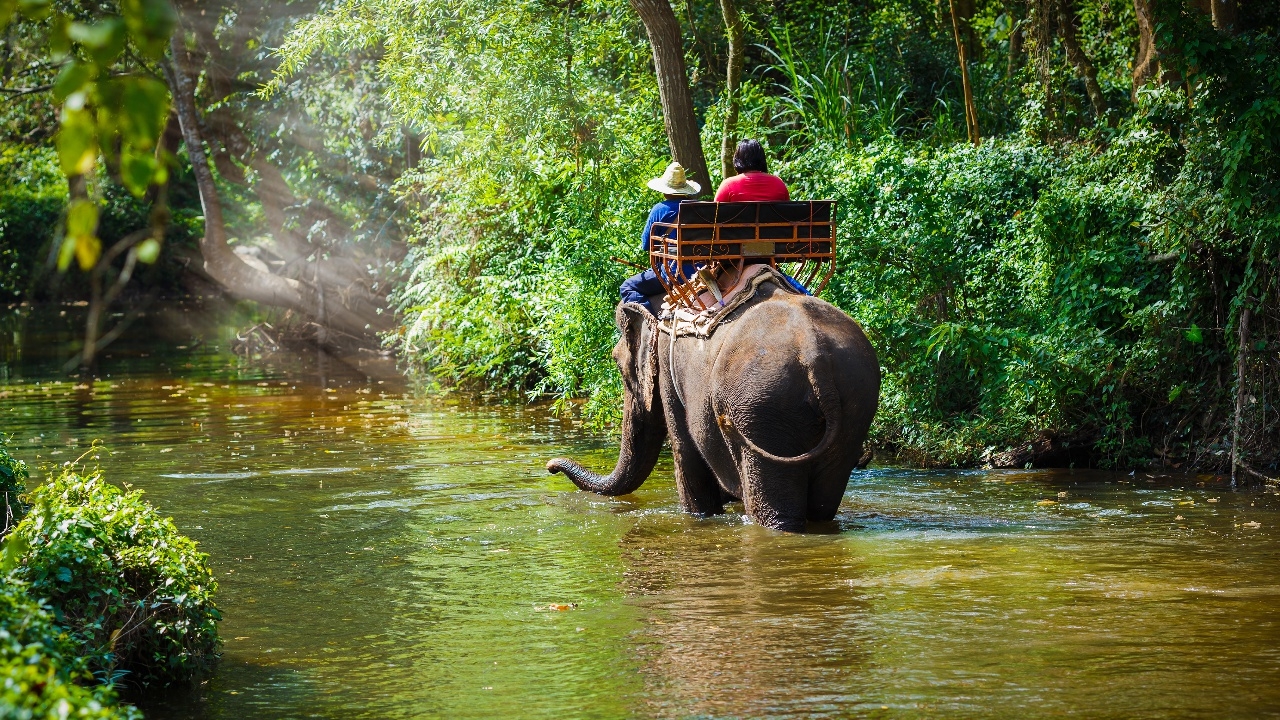 “เที่ยวไทยคนละครึ่ง 2568” รัฐหนุนสูงสุด 3,000 บาท/คืน ชวนลงทะเบียนเริ่ม 1 ก.ค.