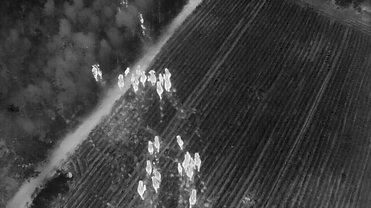 "เจ้าหน้าที่ทับลาน" ผลักดันโขลง "ช้างป่า" กว่า 50 ตัว พยายามบุกไร่ชาวบ้าน