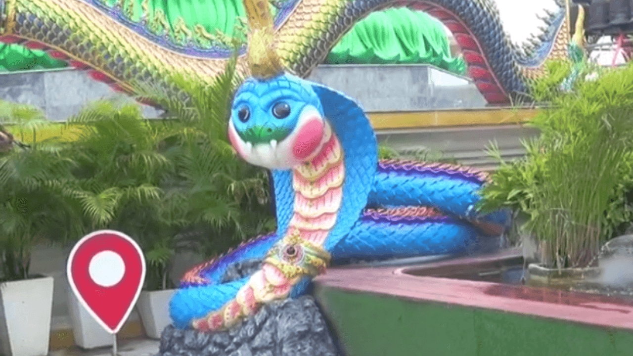 "พญานาคน้อย" แก้มแดงยิ้มแฉ่ง โผล่วัดปทุมบูชา ทำเอาถูกใจเด็กๆ ใครเห็นต้องขอเซลฟี่