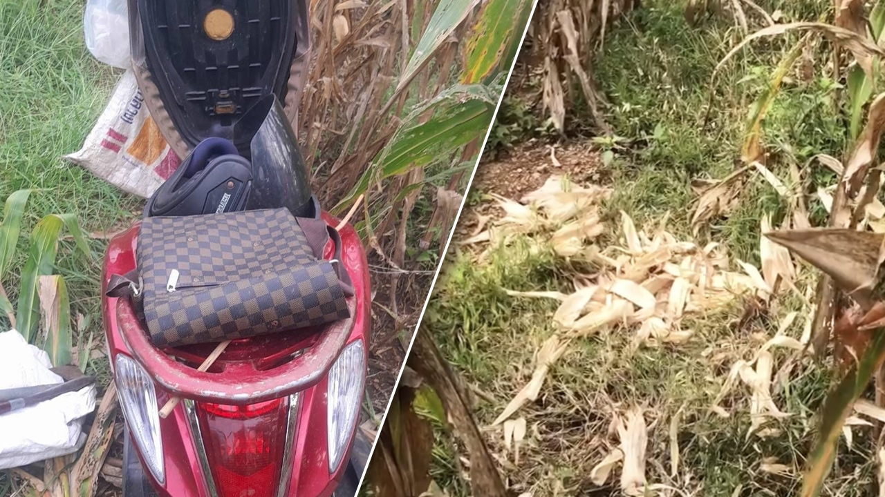 โจรขโมยข้าวโพด ตกใจเจอ "เจ้าของไร่" ดันทิ้งรถจักรยานยนต์ แล้วแบกข้าวโพดวิ่งหนี