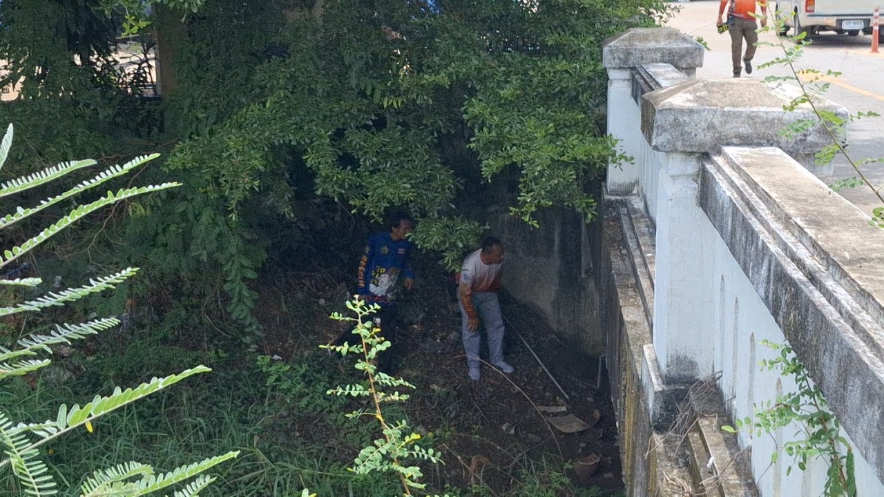 ยังไม่พบน้องหมา ถูกเด็ก 14 จุดไฟเผาทั้งเป็น สาวเผยแชตถูกข่มขู่