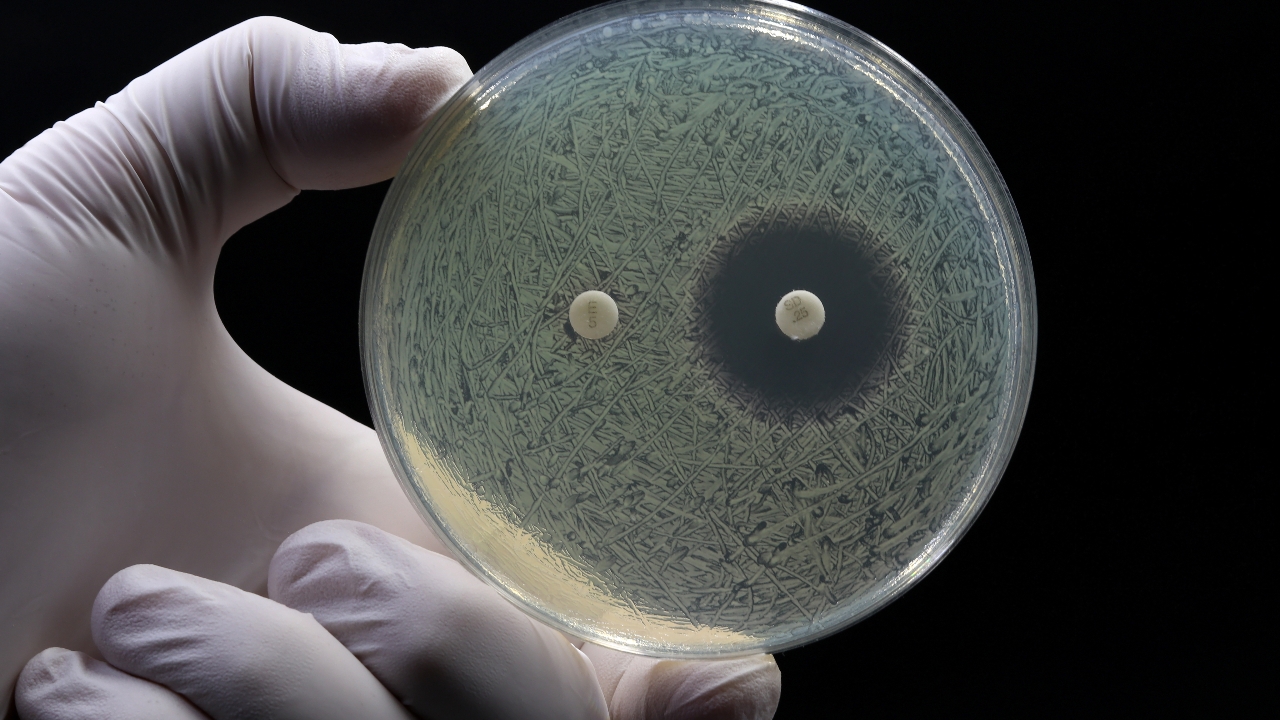 AI ช่วยคิดค้นยาปฏิชีวนะตัวใหม่ ฆ่าเชื้อหนองใน และ เชื้อแบคทีเรียดื้อยา