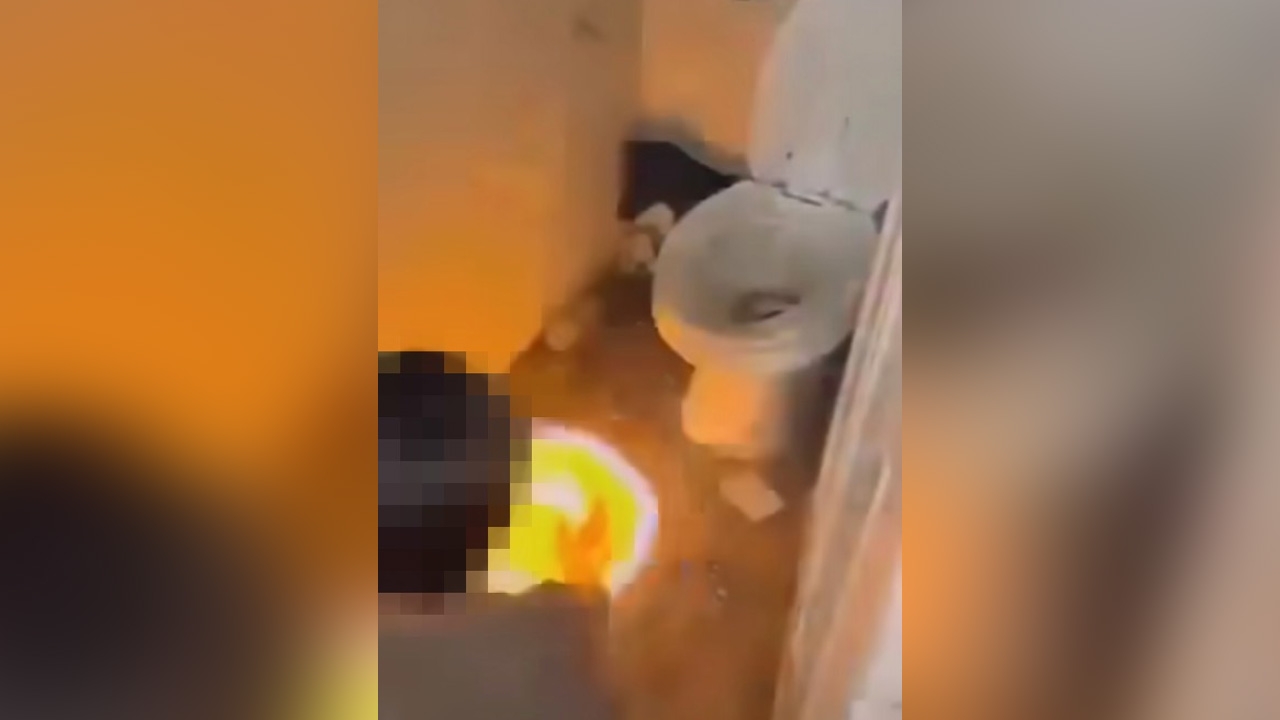 ​เด็ก 14 ราดน้ำมัน จุดไฟเผาลูกสุนัขทั้งเป็น ก่อนนำซากไปโยนทิ้งน้ำ