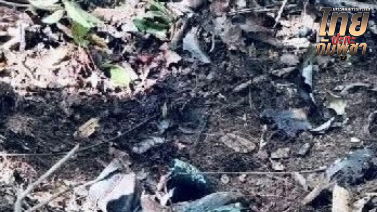 เผยจุดเกิดเหตุ "ส.อ.ธีระพล" เหยียบกับระเบิด มีทุ่น PMN-2 กระจายอยู่ทั่วบริเวณ