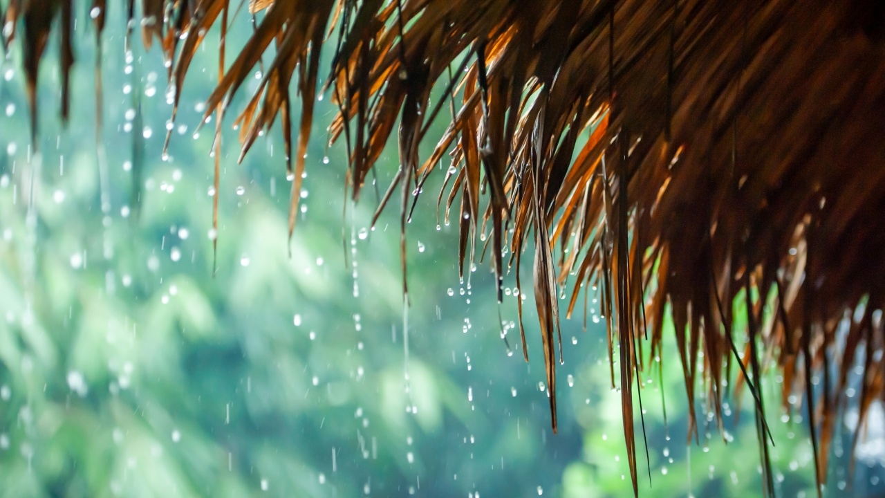 อุตุฯ พยากรณ์ฝนสะสมล่วงหน้า ช่วง 12-19 ส.ค. ทั่วไทยยังมีฝนเกิดขึ้นได้ต่อเนื่อง