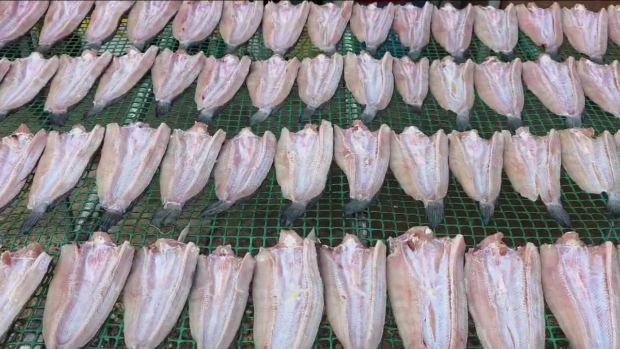 พ่อค้ายืนยัน "ปลาช่อน" ในตลาดโรงเกลือไม่ได้มาจาก "กัมพูชา" แต่นำเข้าจากเวียดนาม