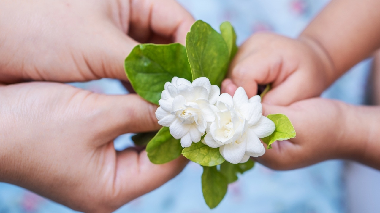 วันแม่แห่งชาติ 2568 เช็กชัดๆ หยุดยาว 4 วัน เดือนสิงหาคม 2568 ตรงวันไหนบ้าง