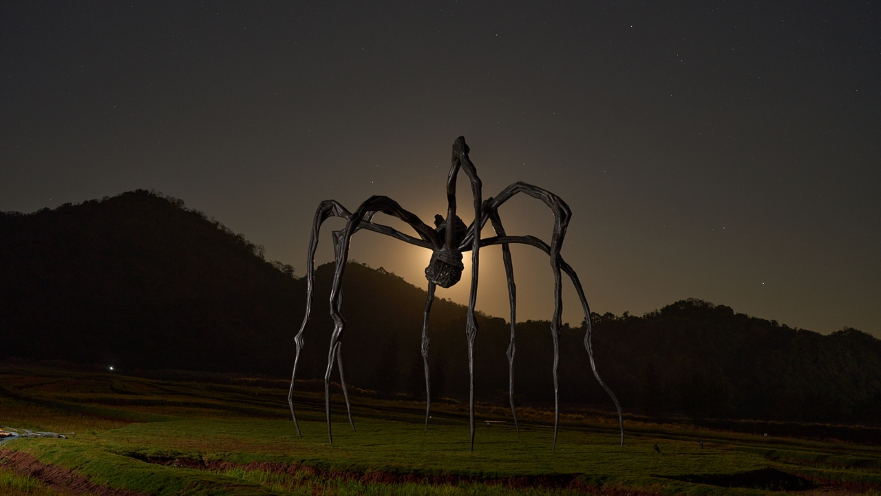 วันแม่ 2568 นี้ พาแม่เที่ยวเขาใหญ่ ดูงานอาร์ตแมงมุมยักษ์ระดับโลก