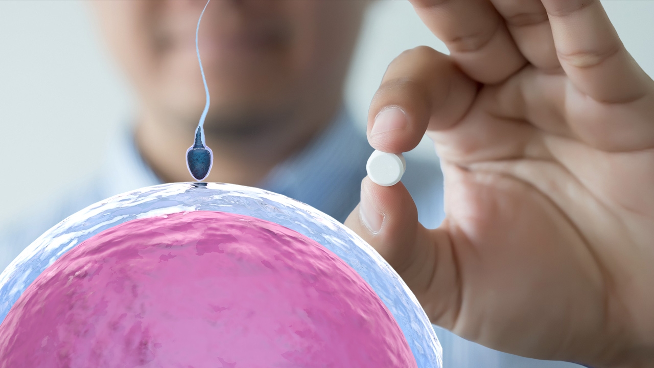 ยาคุมผู้ชาย ทดสอบในคนเฟสแรก ไร้ผลข้างเคียงรุนแรง ความหวังใหม่ในการคุมกำเนิดที่เท่าเทียม