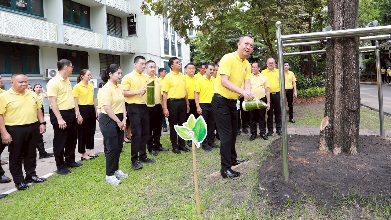 ทส. ร่วมเฉลิมพระเกียรติฯ ในหลวง ร.10 ร่วมบำรุงรักษา “ต้นพญาสัตบรรณ” ต้นไม้ทรงปลูก