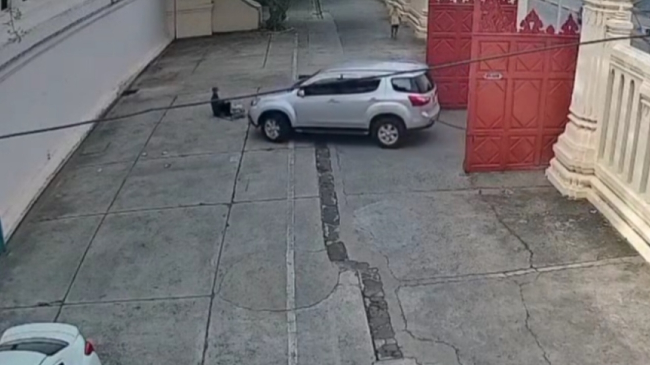 สะเทือนใจ หญิงขับรถเหยียบร่างคนนั่งในรั้วองค์พระปฐมเจดีย์ ก่อนเดินหาย