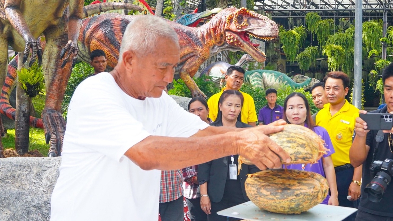 สวนนงนุชฯ สร้างความสำเร็จระดับโลก ปลอก “มะพร้าวทะเล” หายาก 9 ลูก  มูลค่าทะลุล้านบาท