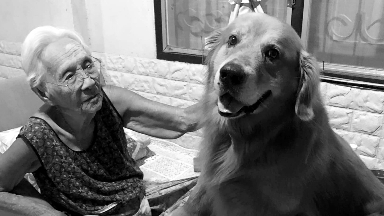 แฟนคลับอาลัย "คุณยาย" เพจลีโอไอ้หนูของยาย เสียชีวิต หลังแอดมิตไม่ถึง 24 ชม.