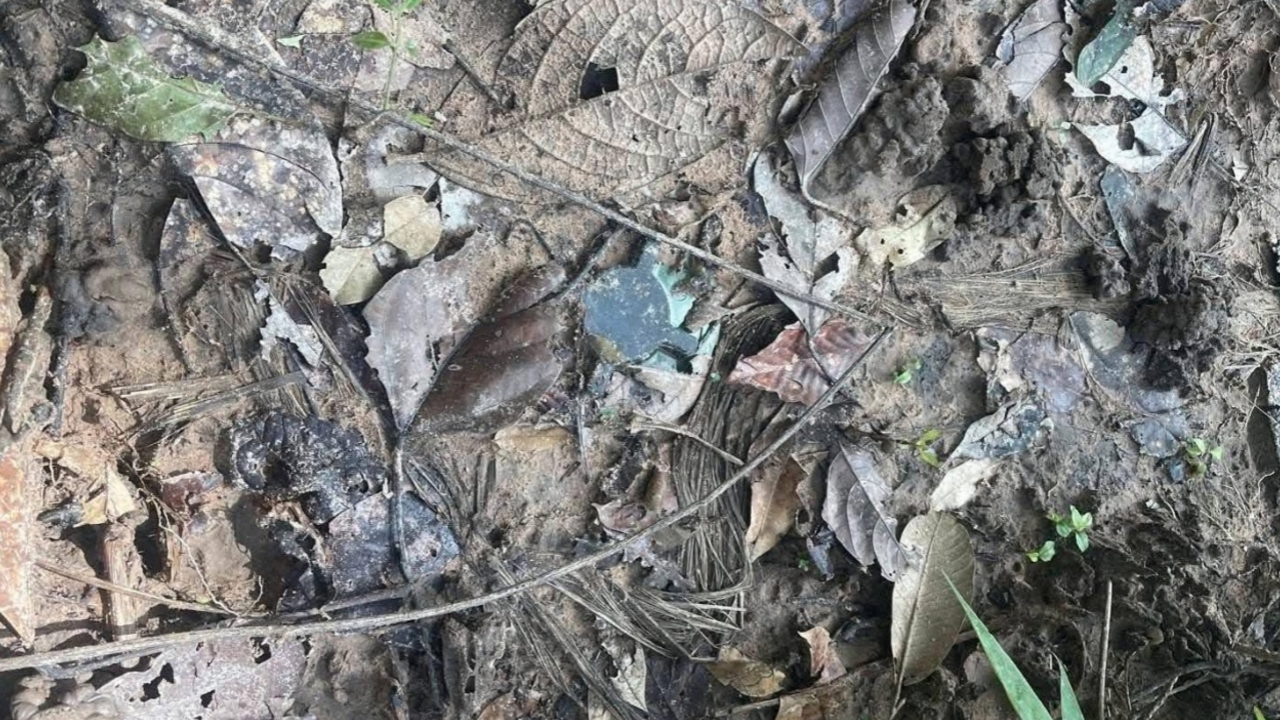 ทภ.2 แจงเหตุทหารเหยียบกับระเบิด เร่งตรวจสอบเป็นของเก่าหรือใหม่ รอผล 3 วัน