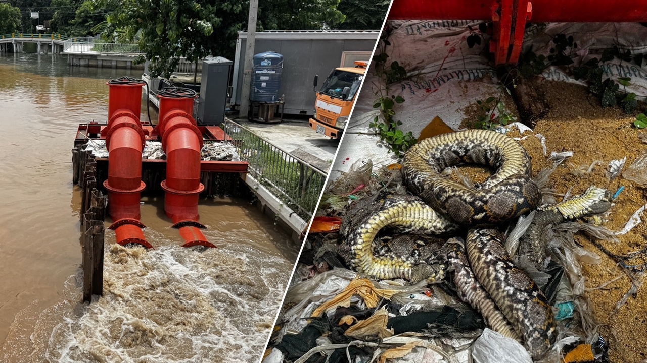 เปิดสาเหตุ เครื่องสูบน้ำปากคลองบางเขนหยุดทำงาน พบงูเหลือม-ขยะลงไปติด