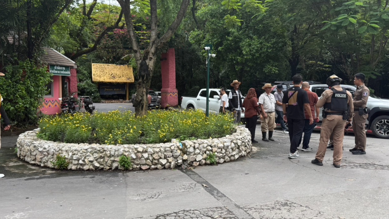 สิงโตรุมขย้ำเจ้าหน้าที่ สวนสัตว์ซาฟารีเวิลด์ แจ้งให้รอการชี้แจง