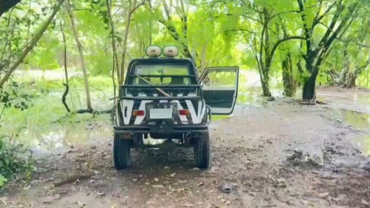 เปิดสาเหตุ เจ้าหน้าที่สวนสัตว์ถูกสิงโตรุมขย้ำ เป็นคนดูแลสัตว์ ทำงานนาน 20 ปี