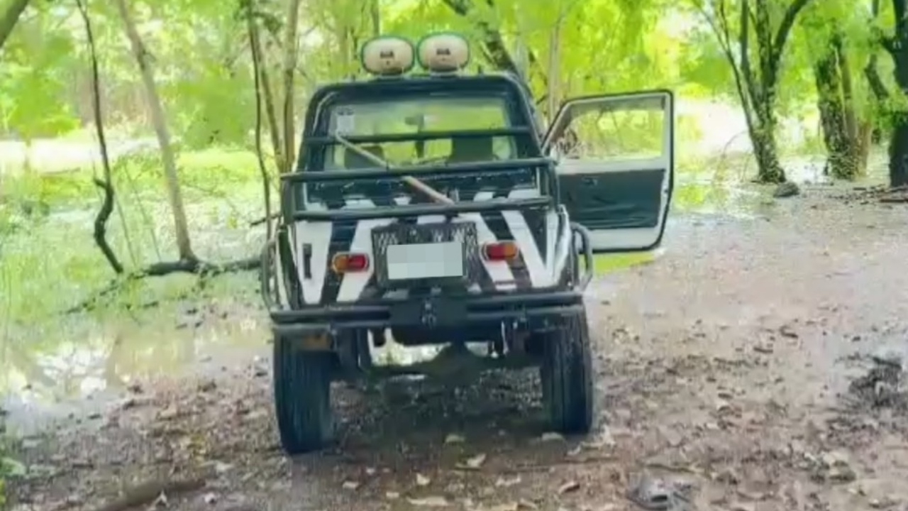 สยอง ฝูงสิงโตขย้ำคน ยังไม่ทราบชะตากรรม 