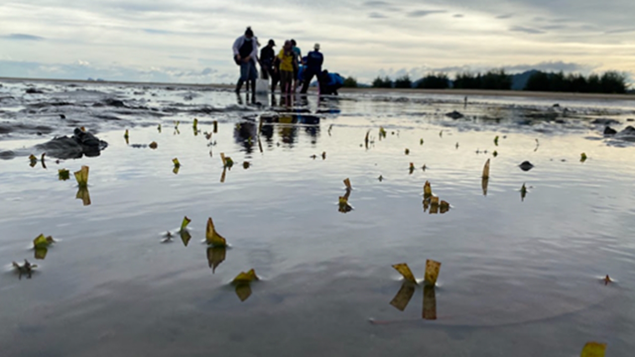 “เมื่อทะเลที่เคยโอบอุ้มฉันกำลังจะดับสิ้น”