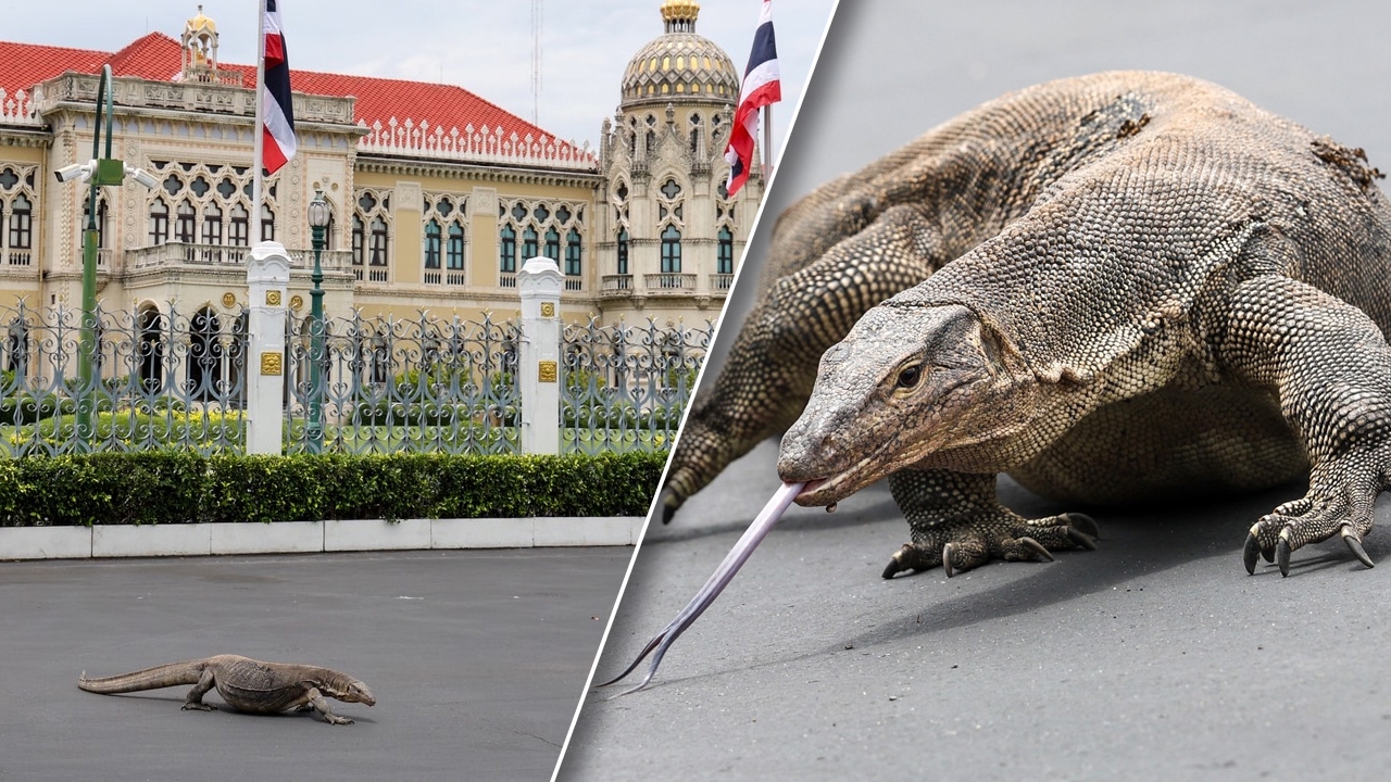 ทำเนียบฯ เหงา ห้องทำงานนายกฯ “อิ๊งค์” เก็บเอกสารหมดแล้ว ฮือฮาตัวเงินตัวทองโผล่