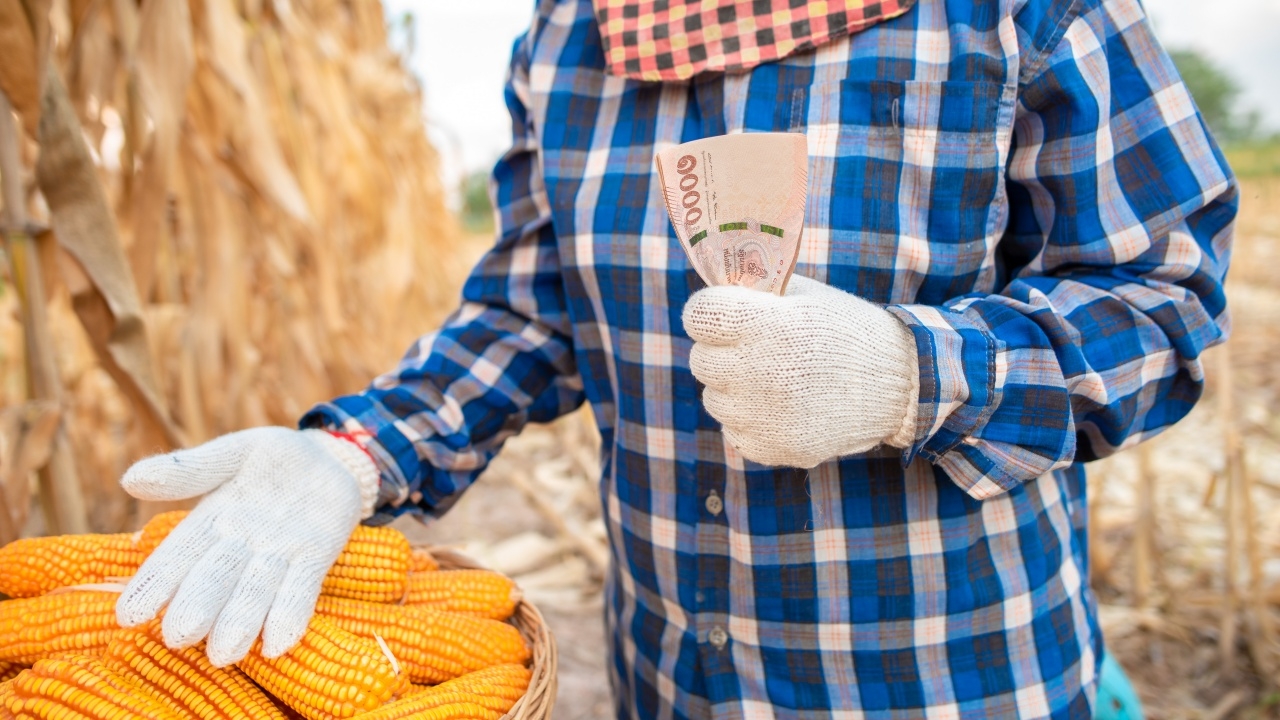 เงินเยียวยาเกษตรกร โอนตรงผ่านบัญชี ธ.ก.ส. เท่านั้น ย้ำอย่าหลงเชื่อมิจฉาชีพ