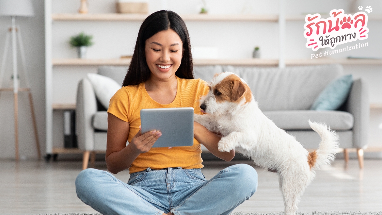 แนะนำ 5 แอปพลิเคชันสำหรับสัตว์เลี้ยงที่เหล่าทาสต้องมีไว้ติดเครื่อง