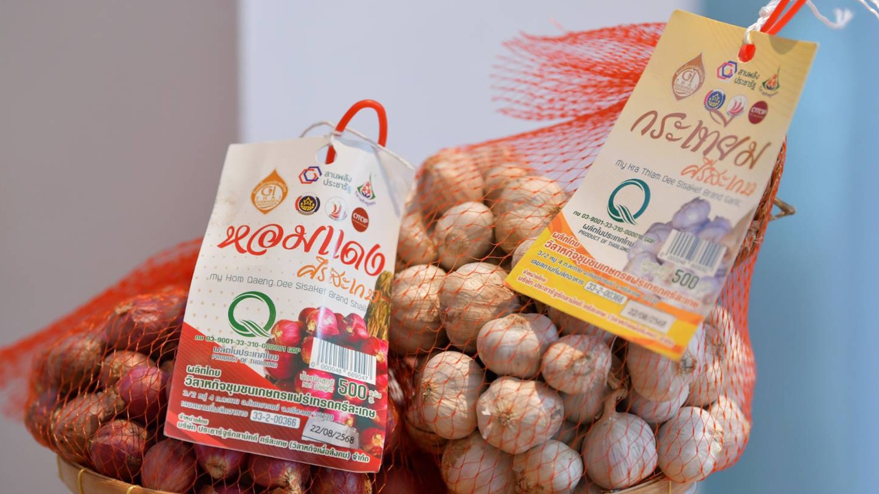 กรมทรัพย์สินฯ จับมือ เลอ กอร์ดอง เบลอ ดุสิต หนุนใช้สินค้า GI เป็นวัตถุดิบในการเรียน