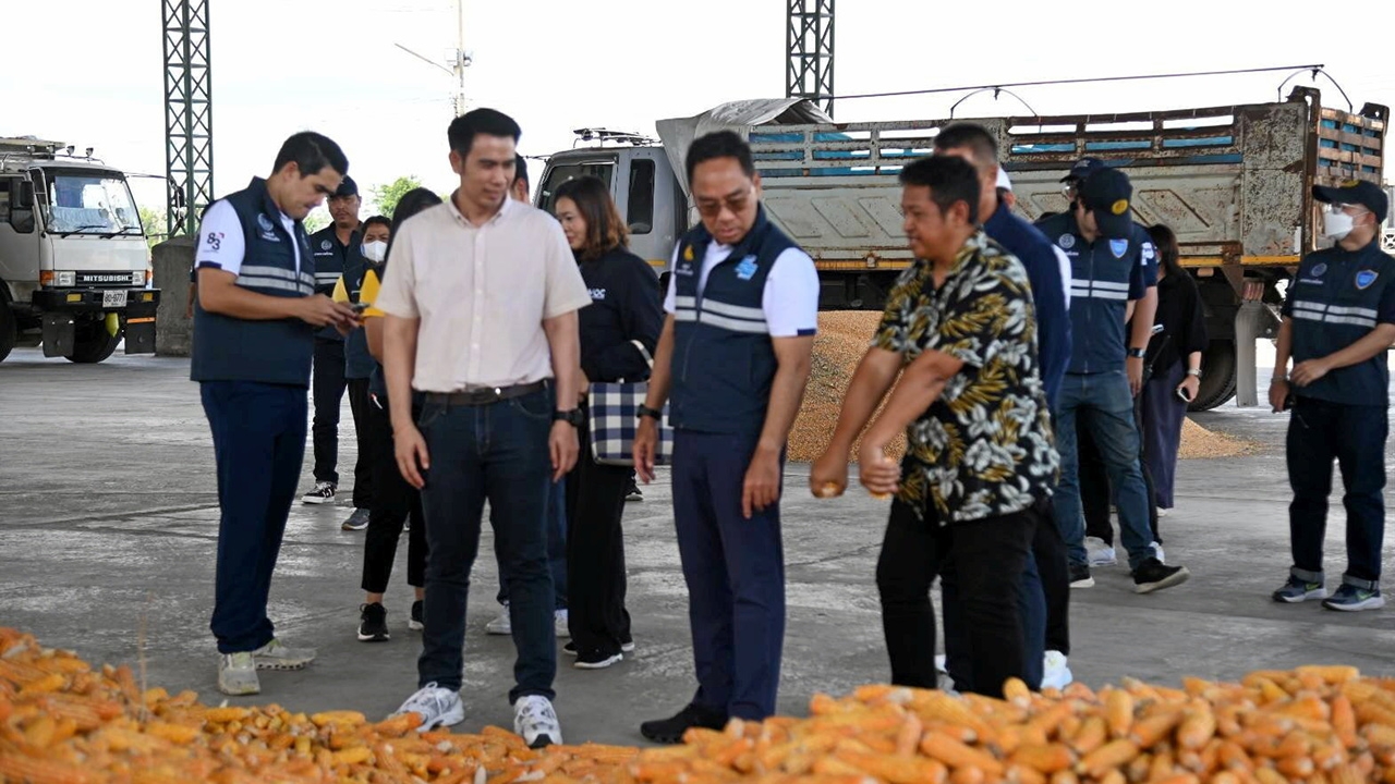 คุมเข้มข้าวโพดสัตว์ กรมการค้าภายในลงตรวจ แก้ปัญหาราคาให้เกษตรกร