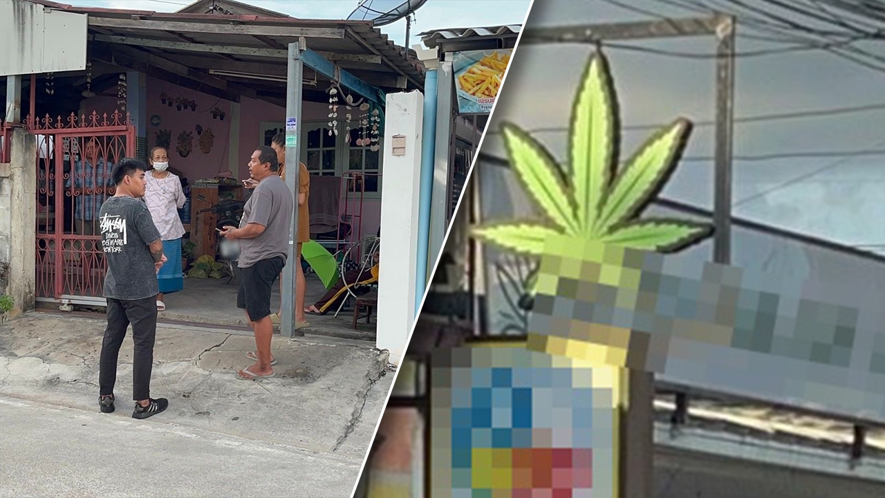 ชาวบ้านโวย กลิ่นกัญชารบกวน ตั้งแต่เช้ายันดึก เจ้าหน้าที่ลงตรวจหลายครั้ง ทำอะไรไม่ได้