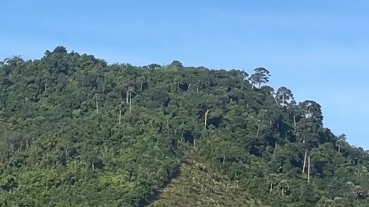 ปิดพื้นที่กดดัน เจ้าหน้าที่ยิงปะทะกลุ่มผู้ก่อเหตุรุนแรง อีกรอบบนเนินเขาทัพหลวง