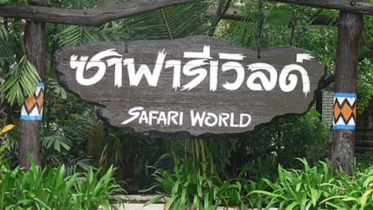 "ซาฟารีเวิลด์" แจ้งเปิดให้บริการตามปกติ ปิดชั่วคราวเฉพาะโซนสัตว์ดุร้าย