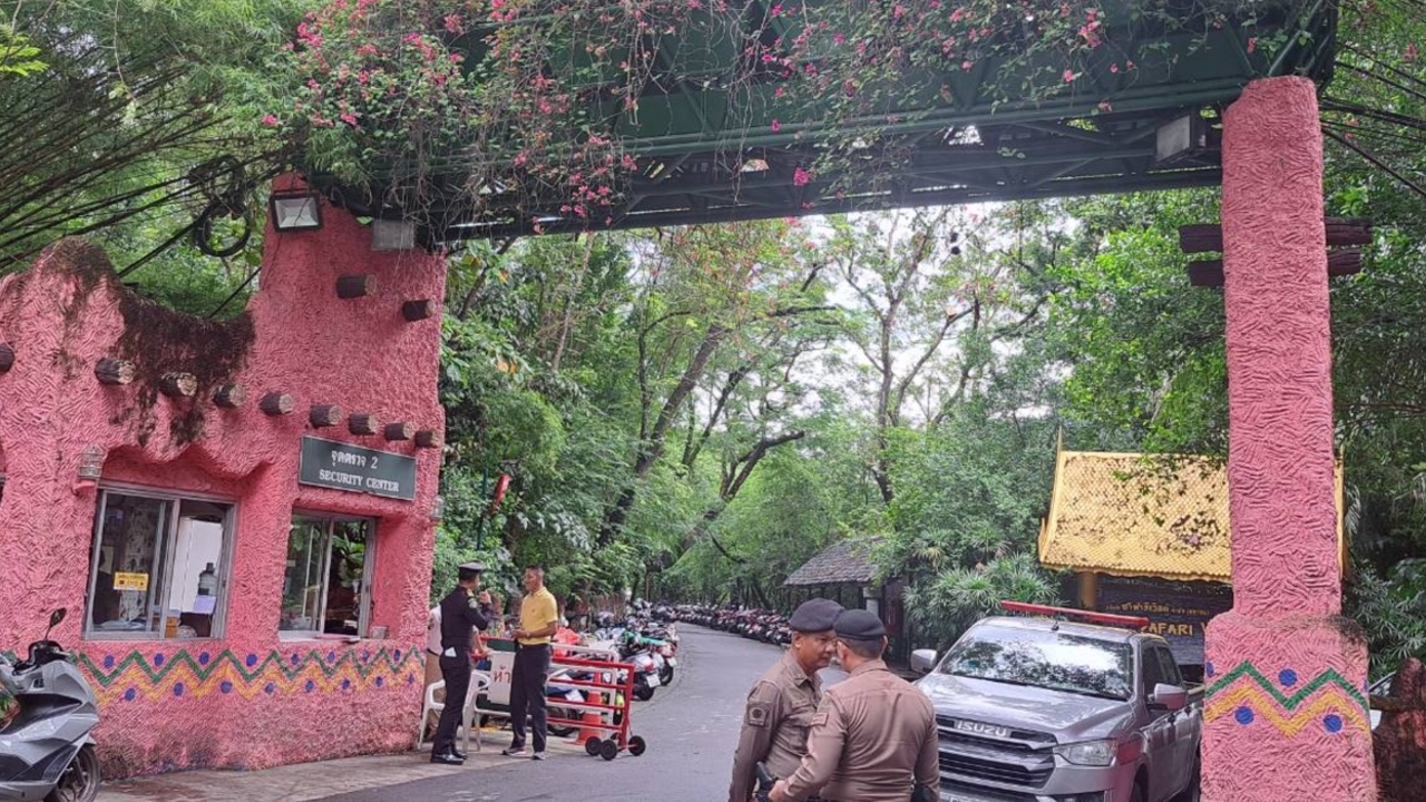 สั่งปิด "ซาฟารีปาร์ค" สวนสัตว์ซาฟารีเวิลด์ ตรวจสอบเหตุเจ้าหน้าที่โดนสิงโตขย้ำดับ