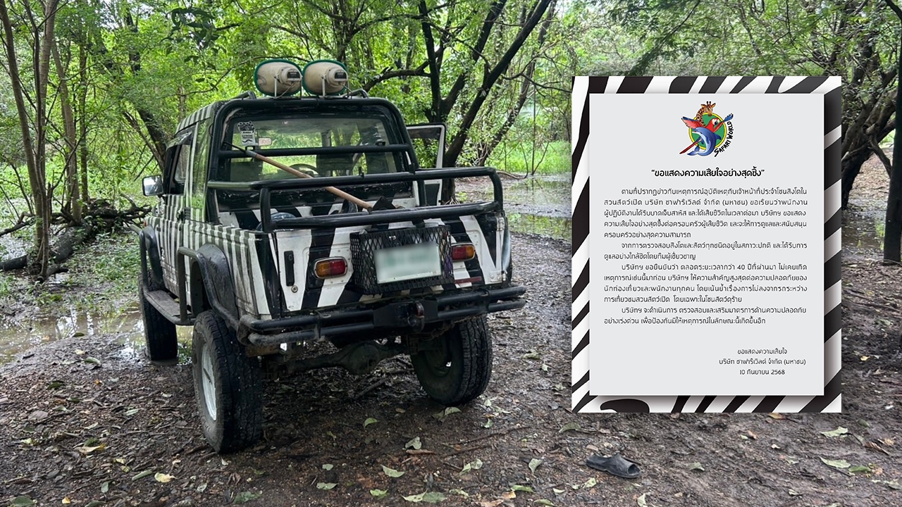 ซาฟารีเวิลด์ เสียใจอุบัติเหตุสิงโตรุมขย้ำเจ้าหน้าที่ เร่งเสริมมาตรการความปลอดภัย