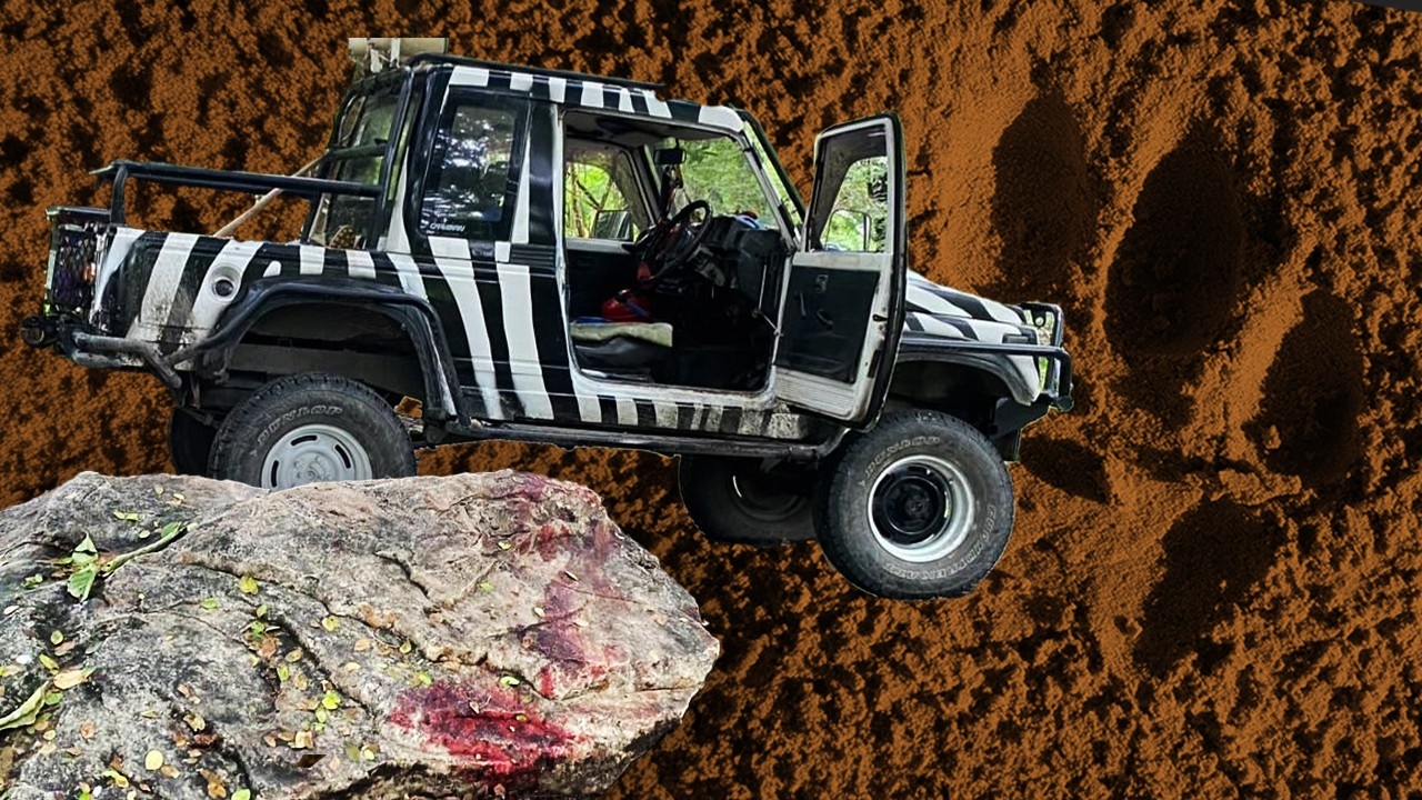 สิงโตขย้ำคนเลี้ยง พฤติกรรมสัตว์นักล่า ซุ่มตะปบด้านหลัง คนไทยยังแอบเลี้ยง