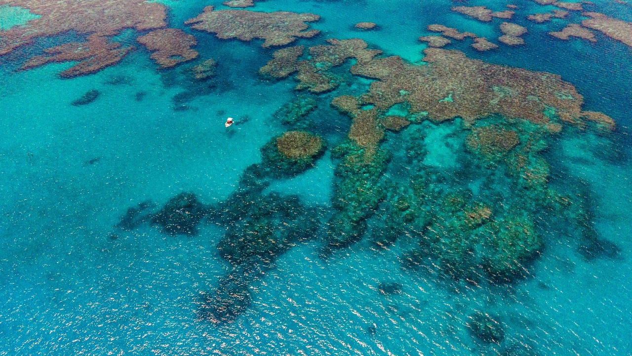 ชาวออสเตรเลียกว่า 1.5 ล้านคนเสี่ยงภัยน้ำท่วมจากน้ำทะเลหนุนภายในปี 2050 