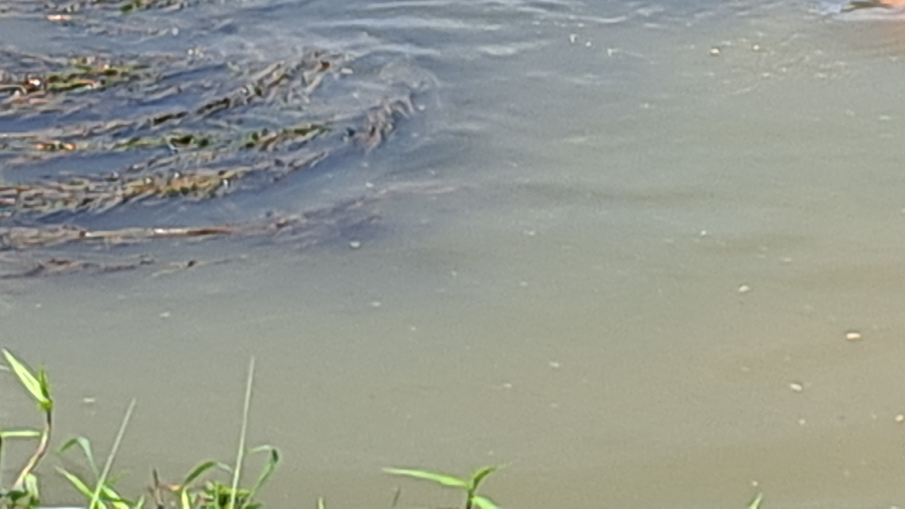 สลด พบศพเศรษฐีนี เจ้าของตลาด อ.บ้านโป่ง ลอยคว่ำหน้าดับในแม่น้ำแม่กลอง