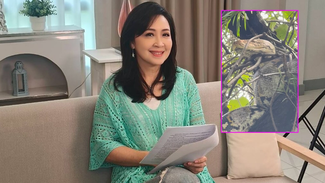 กวาง กมลชนก เจองูเหลือมเข้าบ้าน นอนบนต้นไม้อย่างสบายใจ ชาวเน็ตแห่ถามบ้านเลขที่