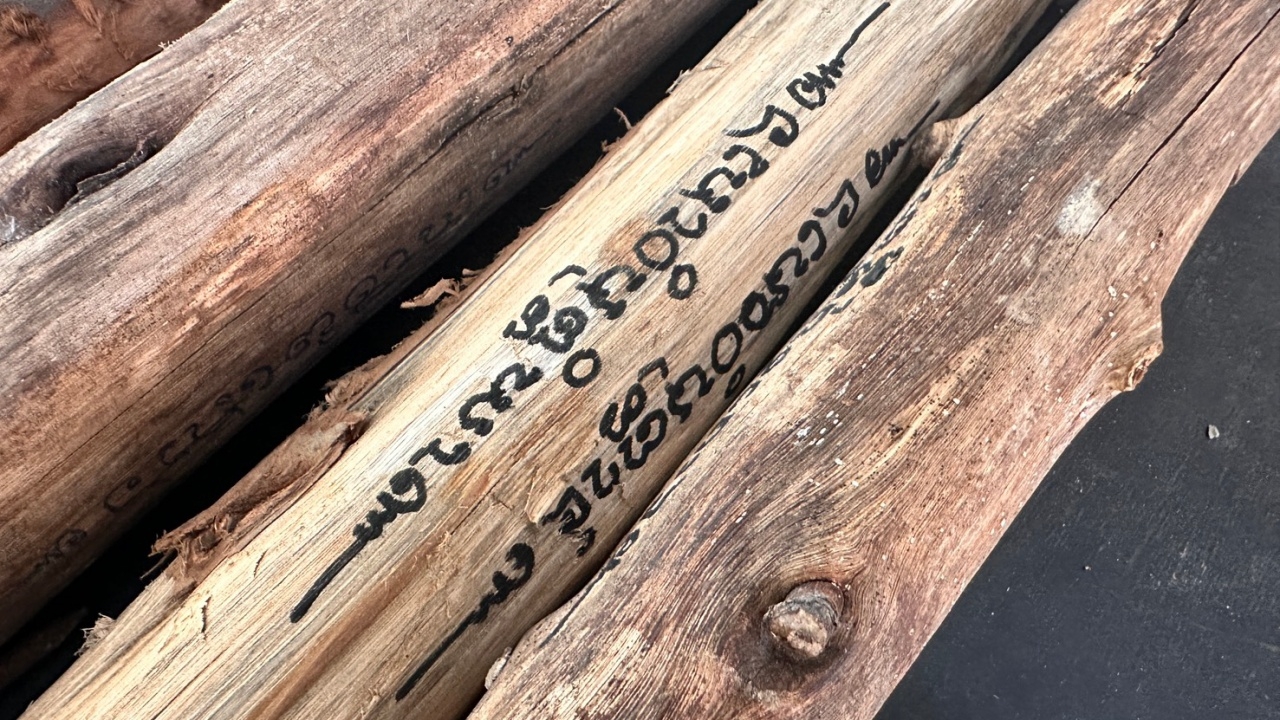 กาฬสินธุ์สืบสานกวนข้าวทิพย์รับออกพรรษา เสริมความสิริมงคล