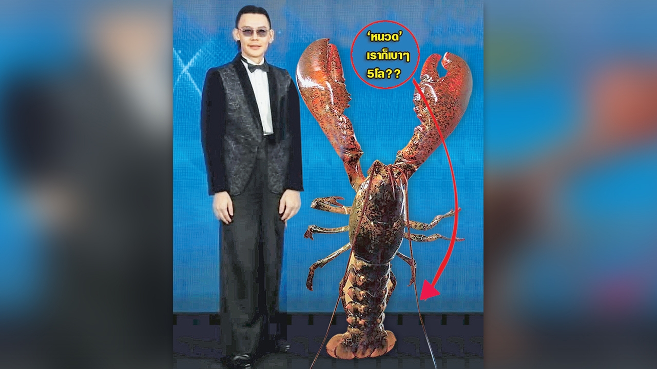 “หนวดกุ้ง”