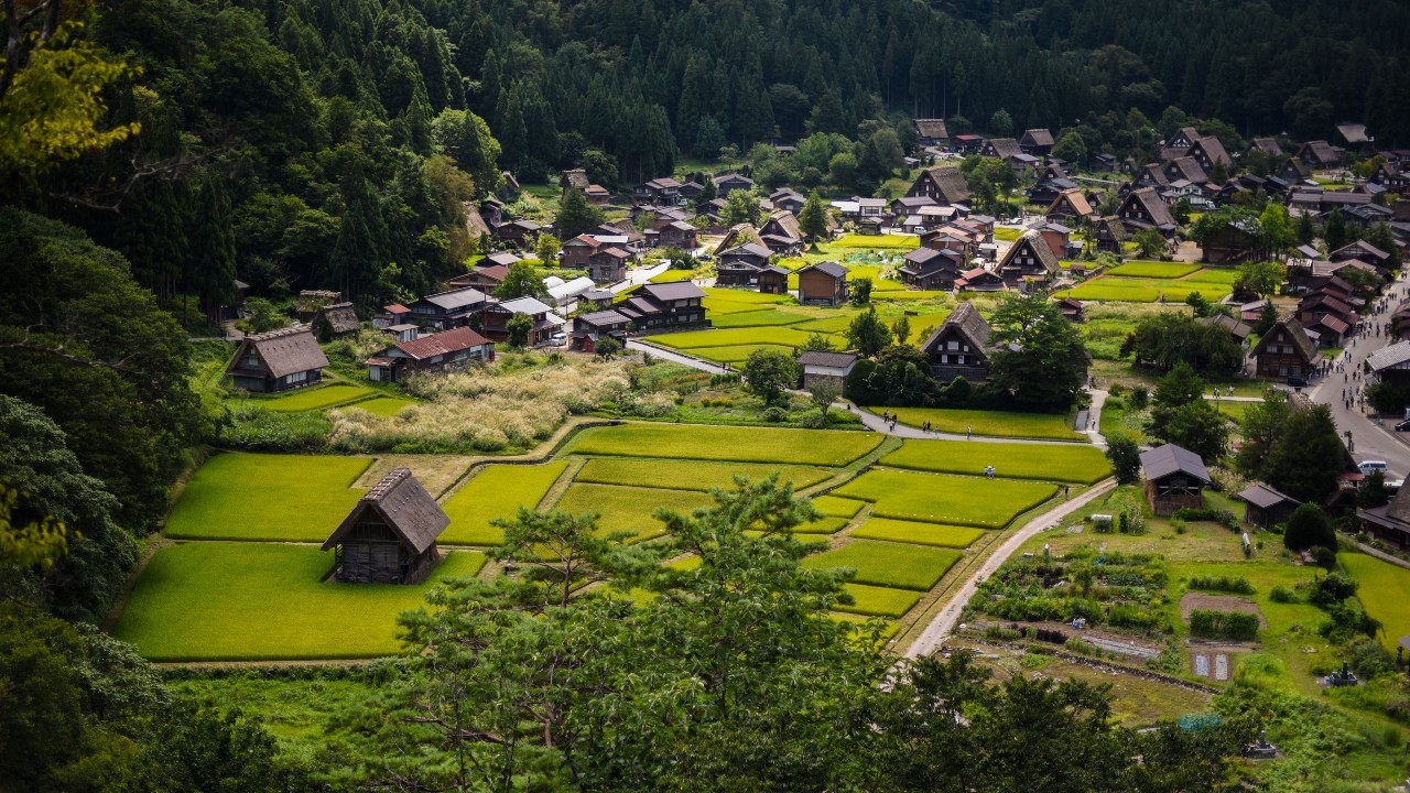 หมีป่าทำร้ายนักท่องเที่ยวสเปนบาดเจ็บกลางหมู่บ้านมรดกโลก "ชิราคาวาโกะ"