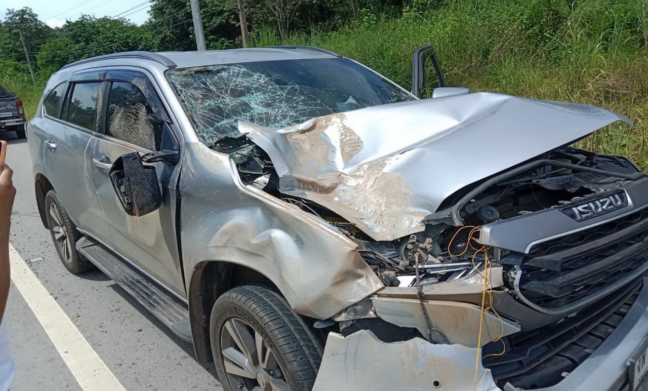 ช้างป่าภูหลวงตกใจเสียงรถ ใช้ 2 เท้าเหยียบหน้ารถ SUV พังยับ