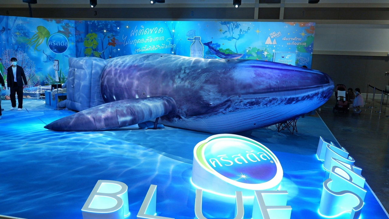คริสตัล ปลุกกระแสอนุรักษ์ท้องทะเลและวาฬไทย ผ่านนิทรรศการโลกใต้ทะเลและเรื่องราววาฬบรูด้า