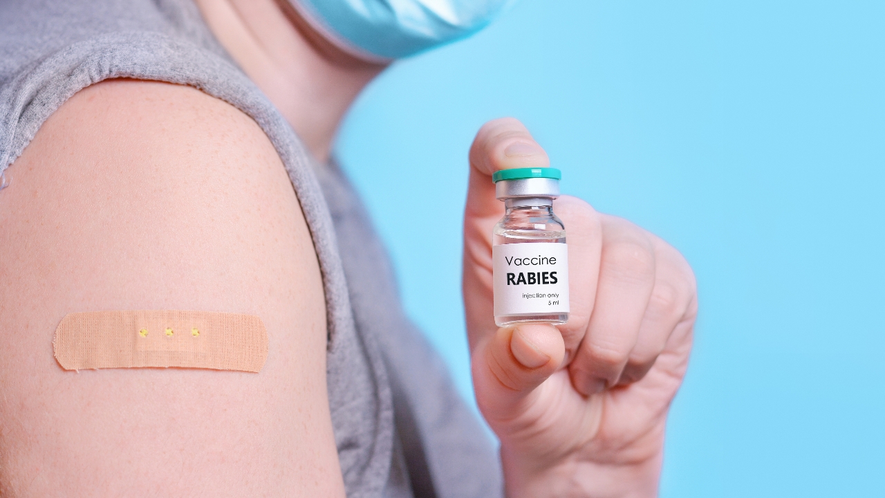 สภากาชาดไทย เปิดให้ฉีดวัคซีนป้องกันพิษสุนัขบ้าฟรีถึง 30 ก.ย. 2568