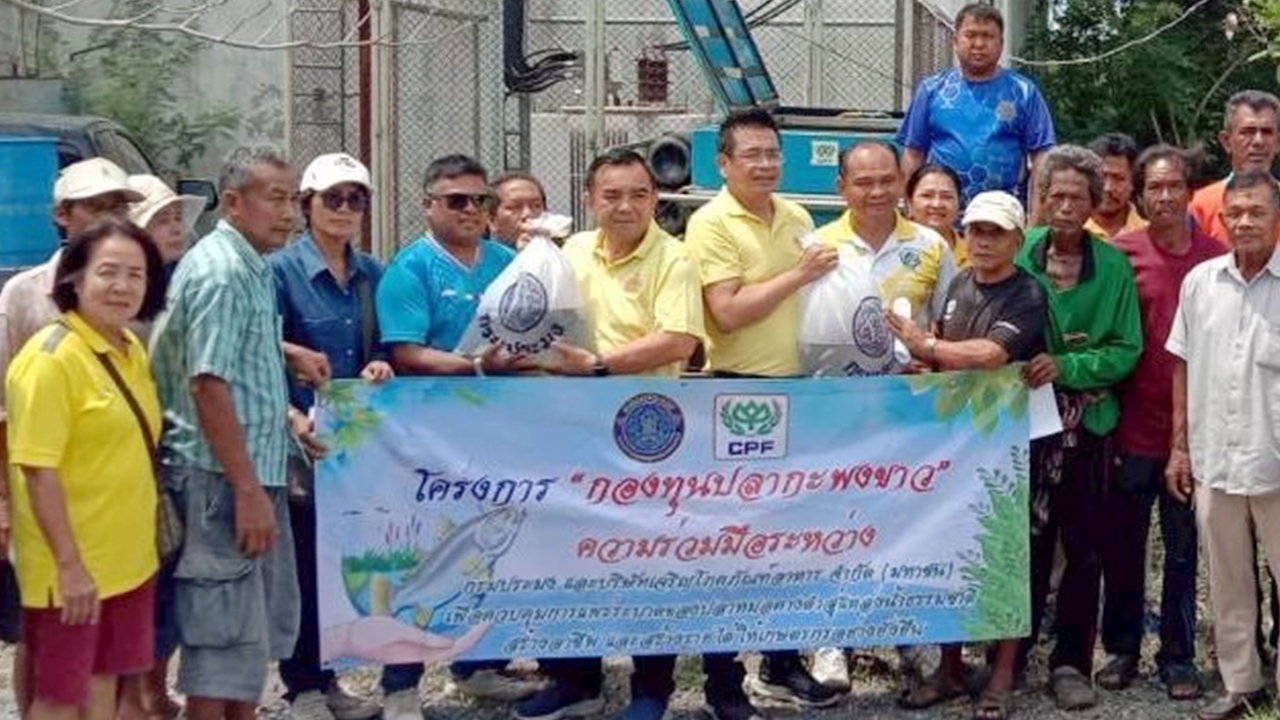 ประมงนครศรีธรรมราช ปล่อยปลานักล่า 1 หมื่นตัว ตามแผนควบคุมปลาหมอคางดำ