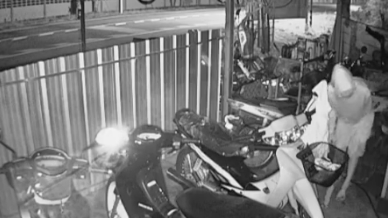 ว่าที่เจ้าบ่าว ถูกหัวขโมยย่องฉกของในร้านซ่อมรถ โชคดีไม่เห็นกระเป๋าเงินใส่สินสอด