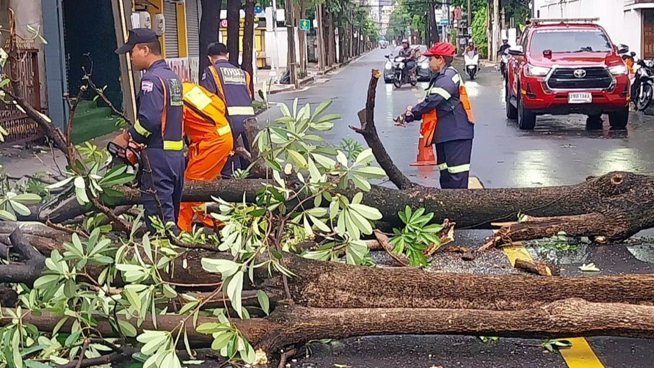 คุมเข้ม “ป้าย-ต้นไม้โค่น” ฝนคะนอง จี้เช็กสภาพพร้อมบันทึกผล “ปั้นจั่น-เครน” เตือน ปชช.ระวังภัย