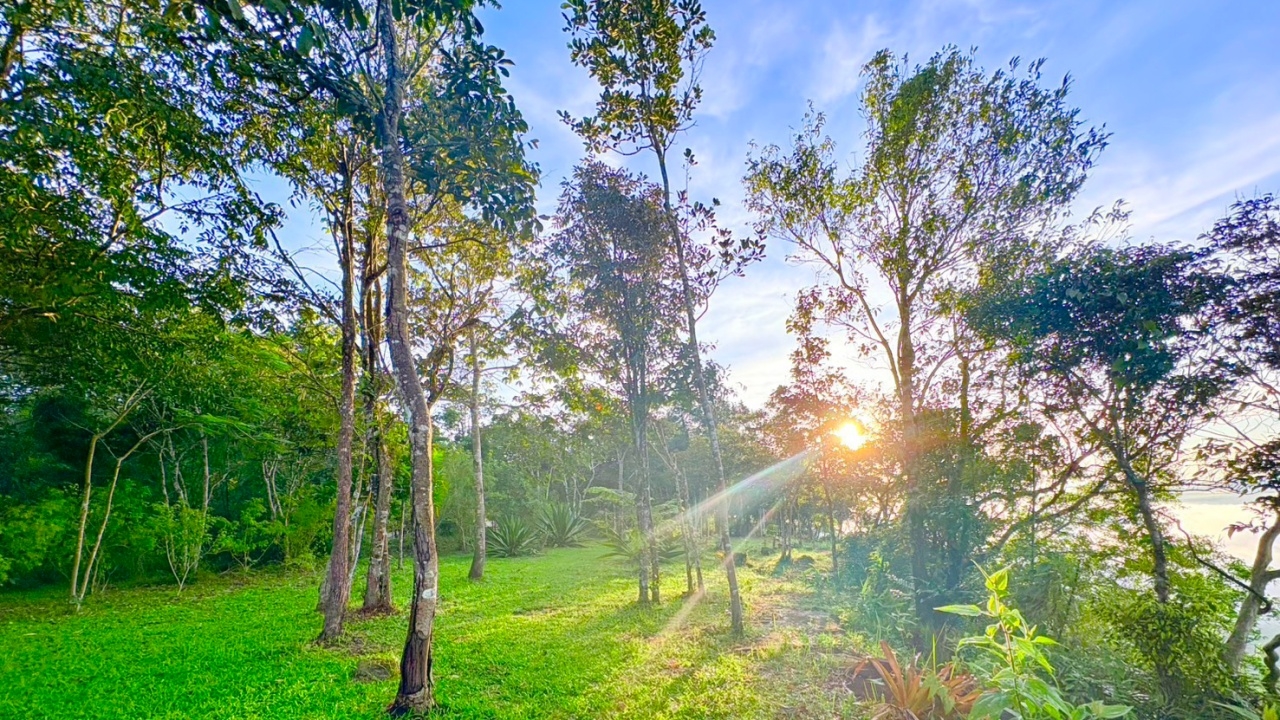 เปิดฤดูกาลวังน้ำเขียว ชมวิวพาโนรามา “ผารักษ์สลัดได”