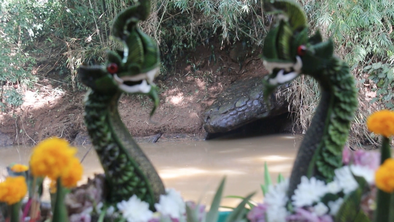 นักท่องเที่ยวแห่ชม "หินงูยักษ์" ริมลำน้ำเข็ก รถจอดติดยาว คอหวยไม่พลาดส่องเลขเด็ด