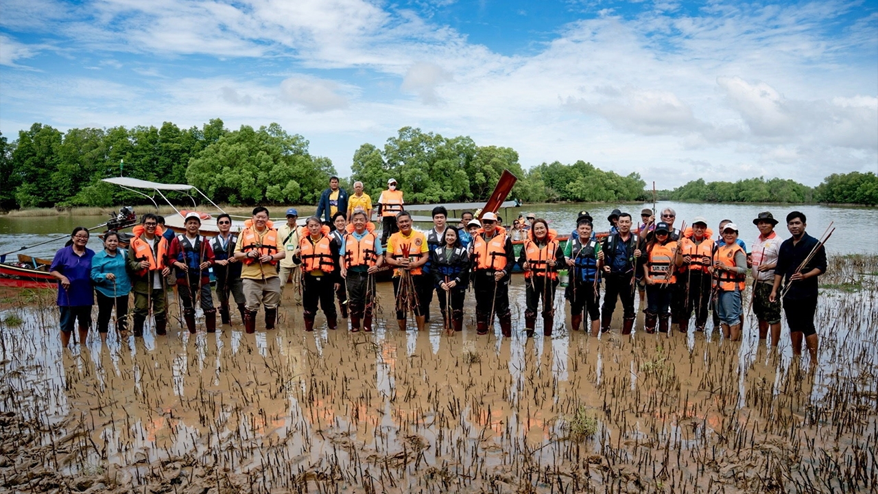 เซ็นทรัล ทำ จัดโมเดลพัฒนาที่ยั่งยืน ฟื้นฟูป่าชายเลนยกระดับเศรษฐกิจชุมชน